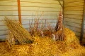 IMG_28831-120x80.jpg