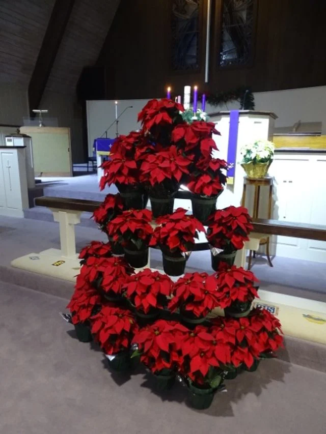 DSC03051 (Small).JPG