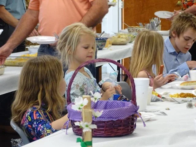 DSC03749 (Small).JPG