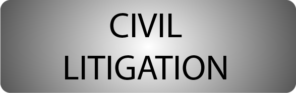 Civil Litigation.png
