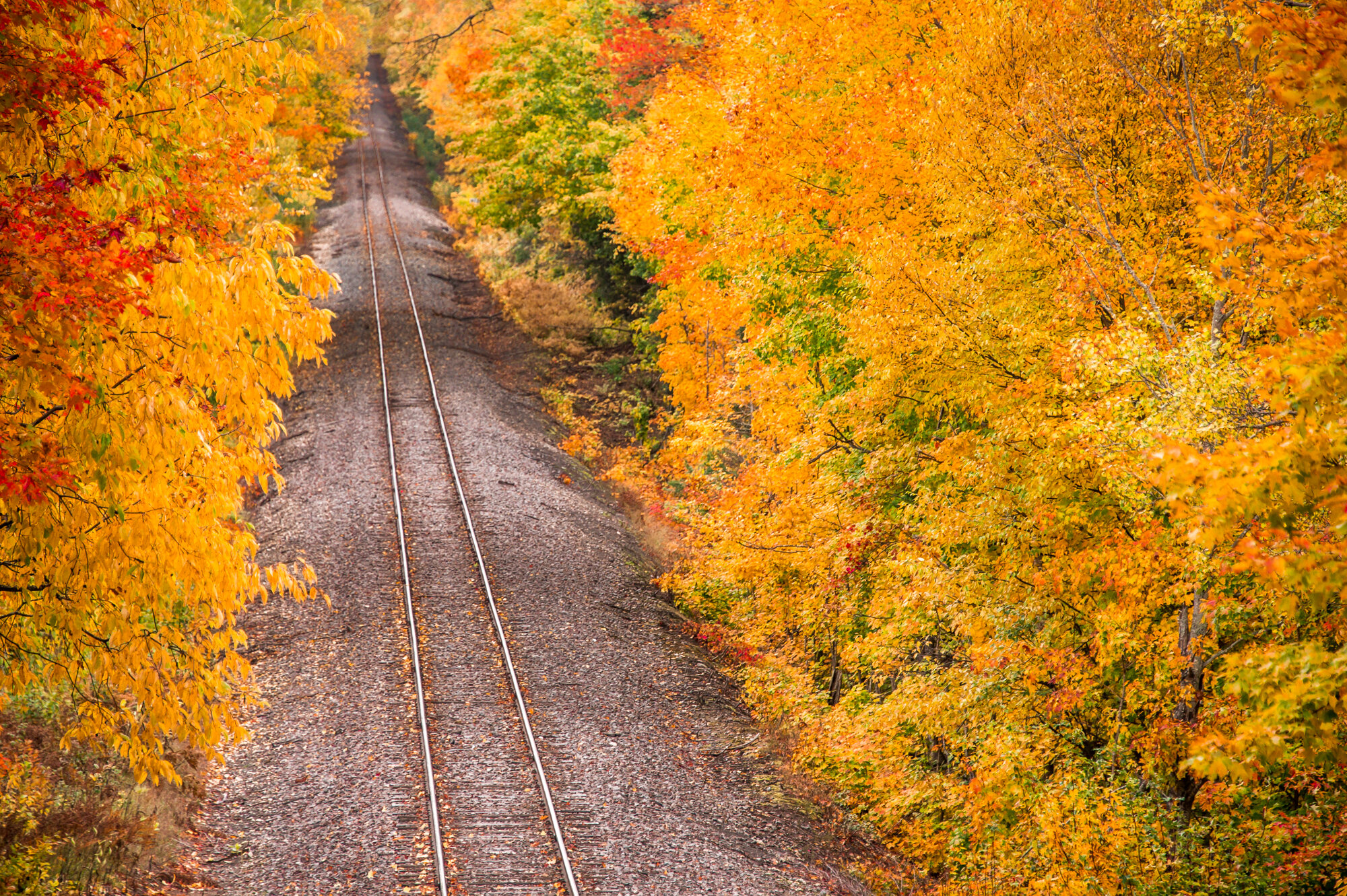 Autumn RR tracks