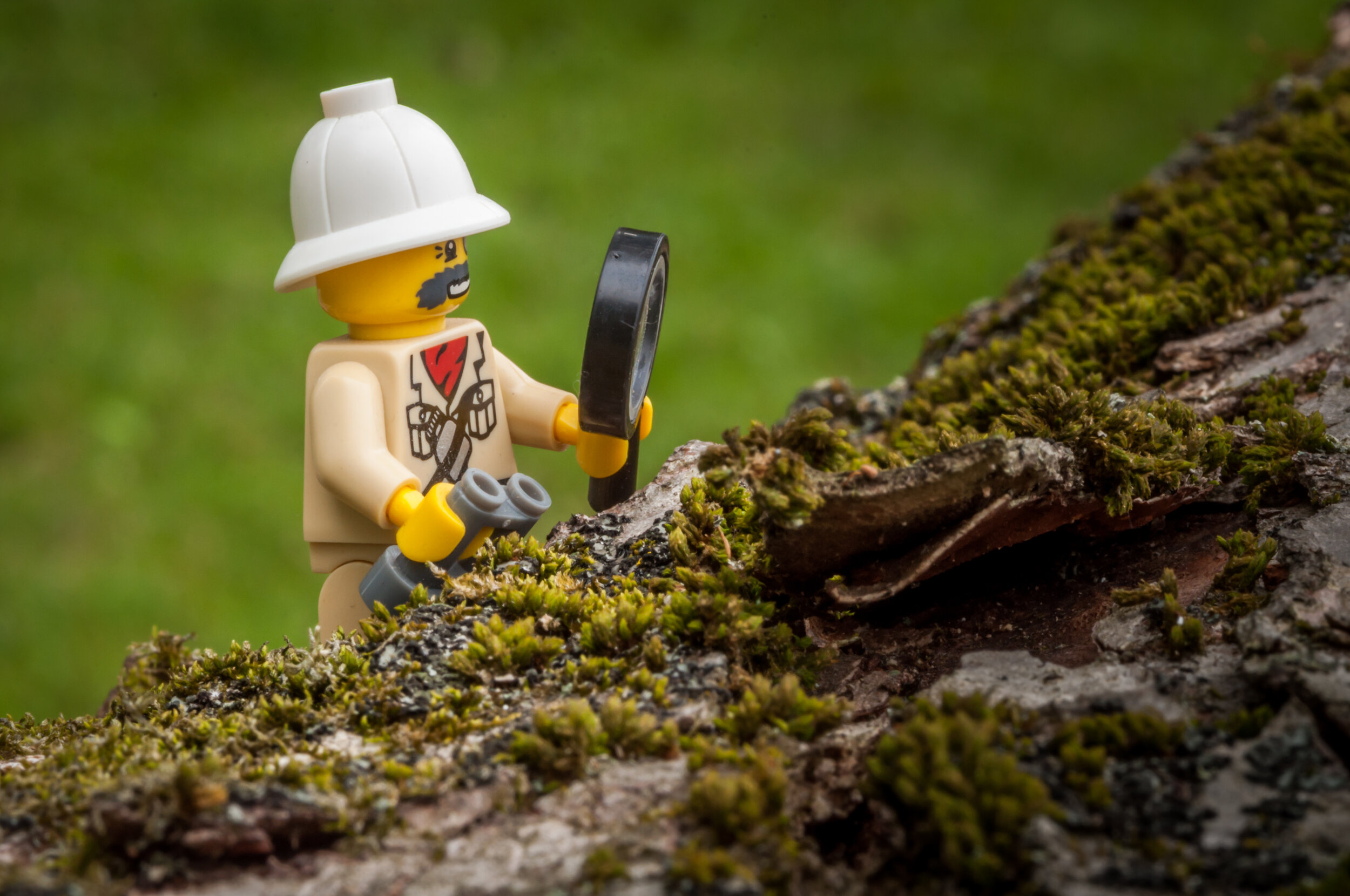 LEGO Archeologist