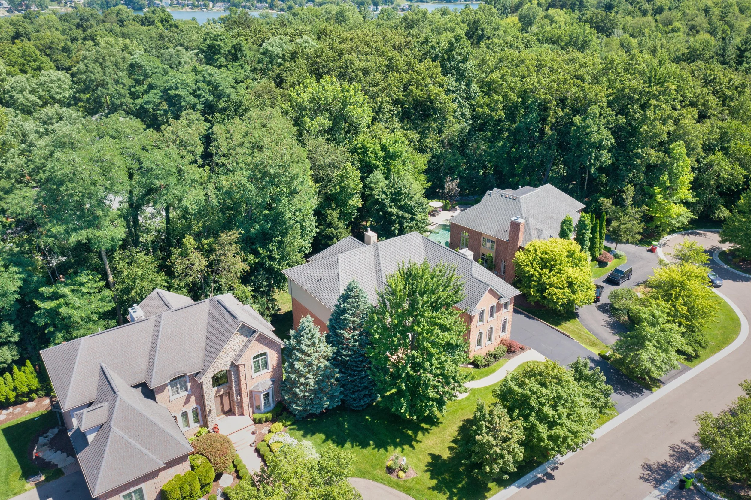 Forest Edge_4575_drone-3.jpg