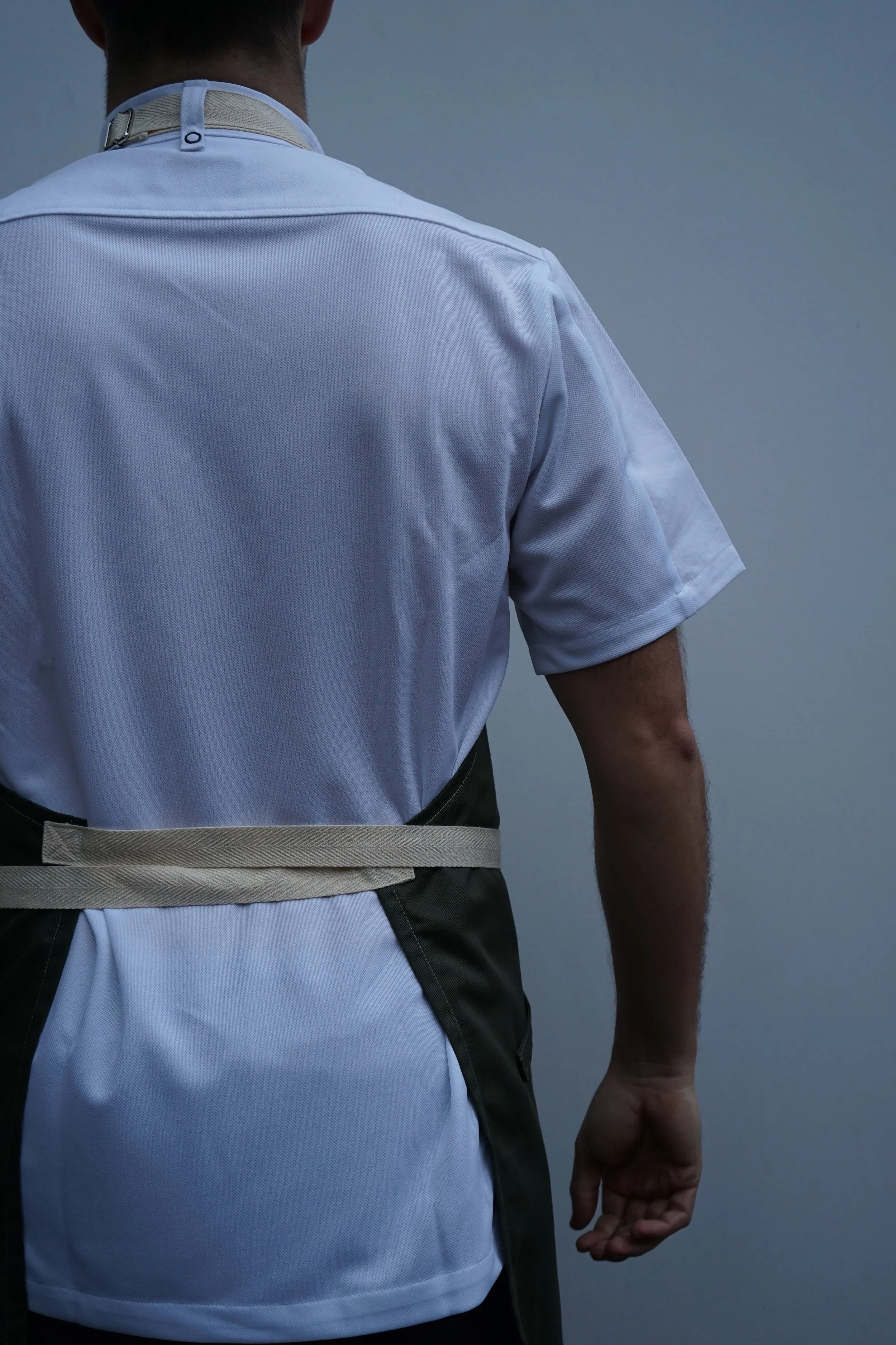WINDSOR_apron_meechef_promo_back.JPG