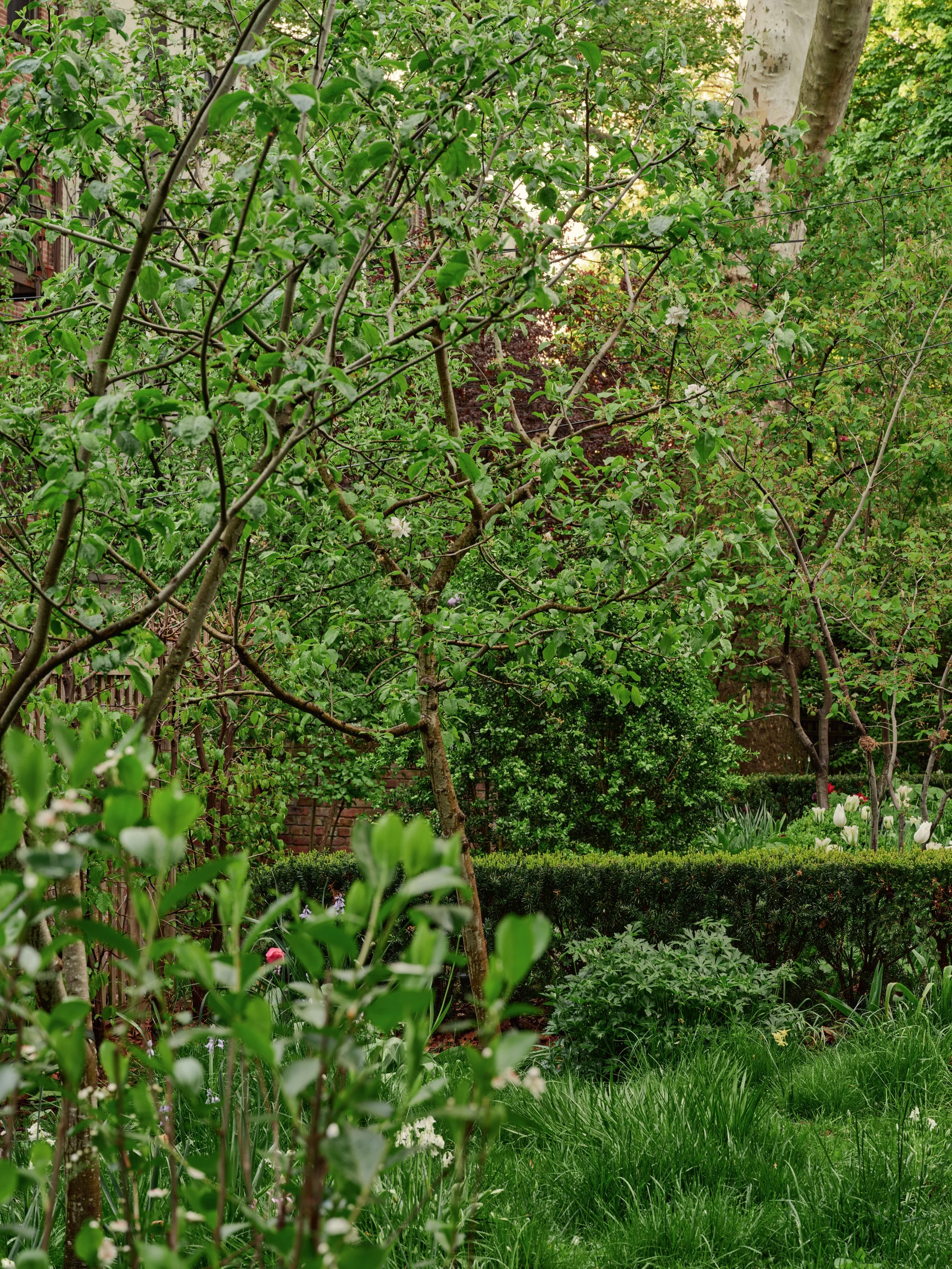 Prospect Heights Estate