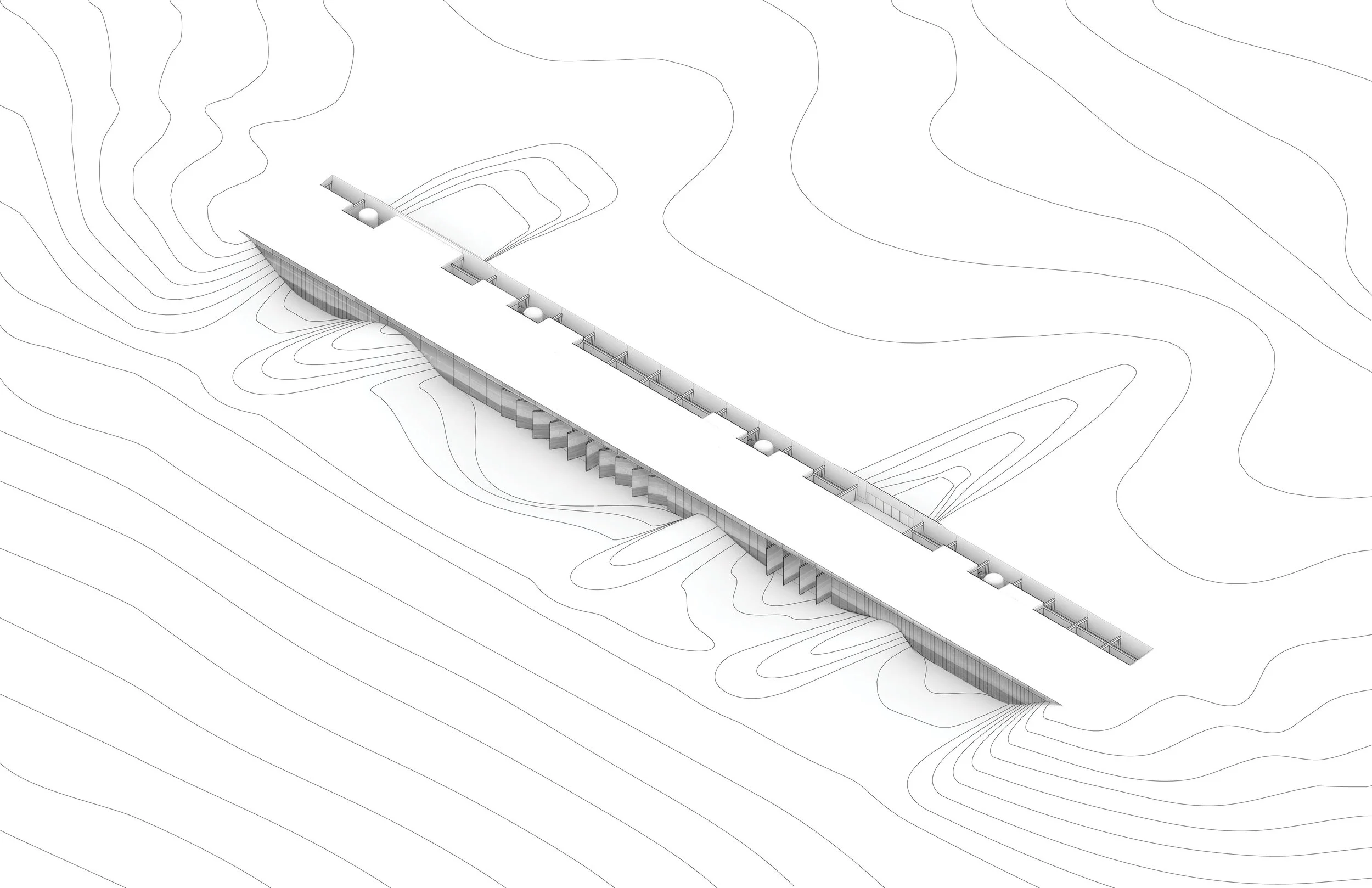 Joshua Tree - Axon.jpg