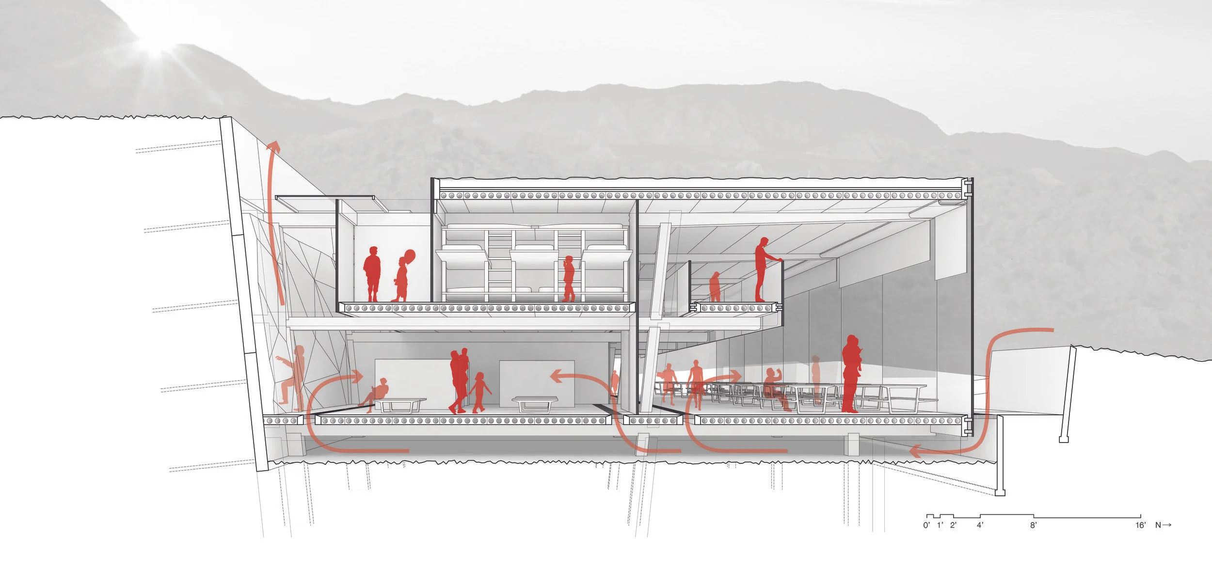 Joshua Tree - Section.jpg