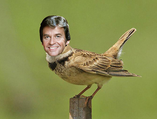 Dick Lark