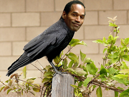 Crow J. Simpson