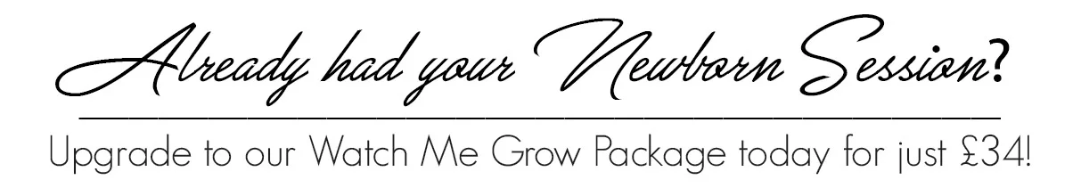 wmg-banner2.jpg