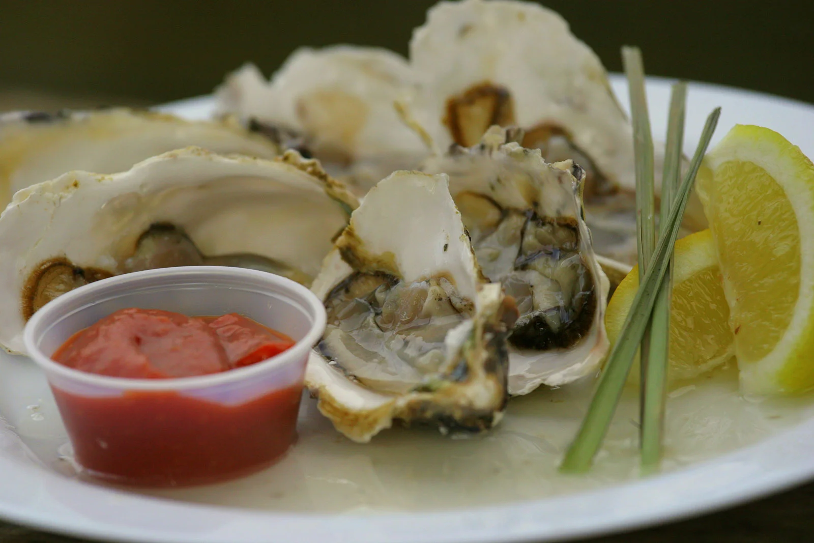 Tony's Fish & Oyster Cafe