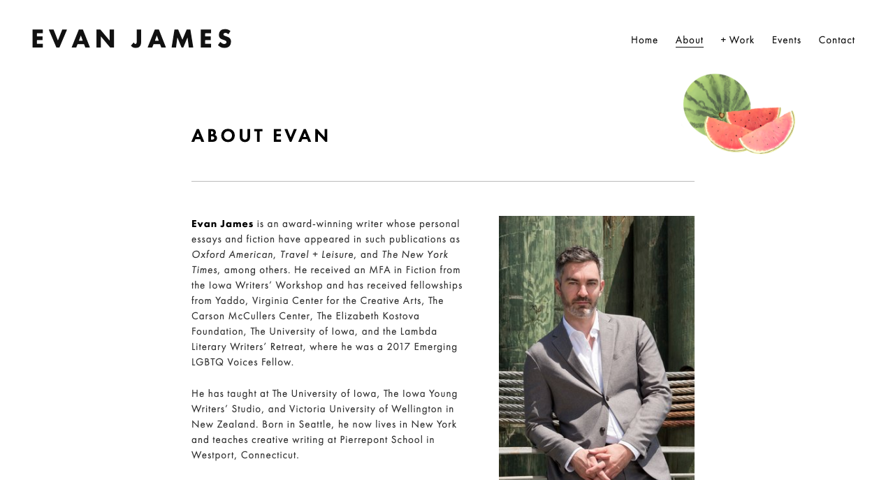 Illustration and site for Evan James: evanjameswriter.com
