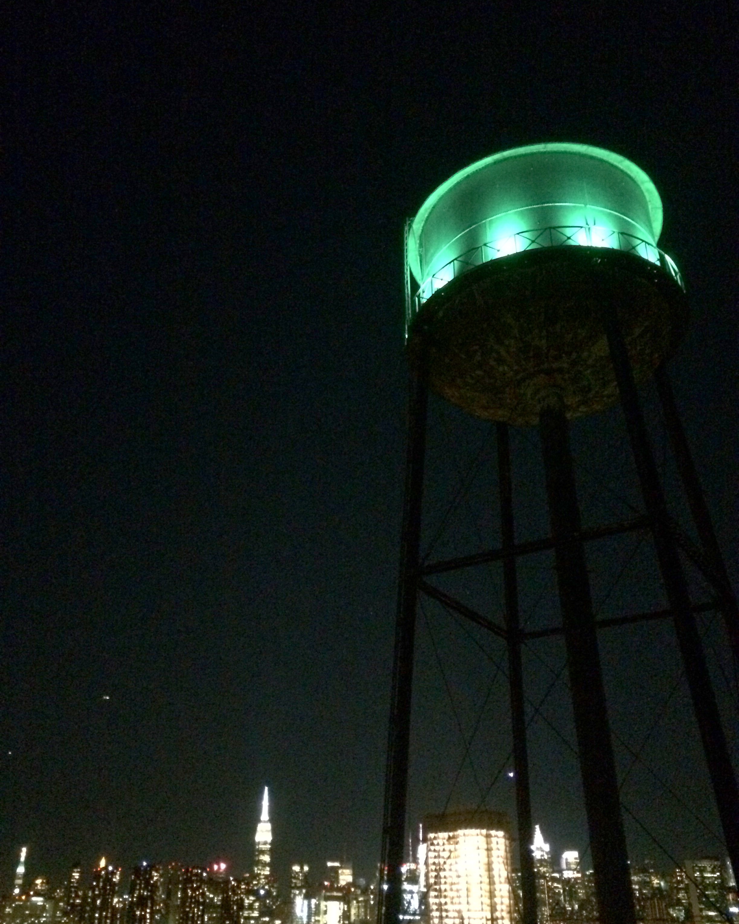 Location: Transmitter Park, Greenpoint, Brooklyn, NYC Photo: Stephen Donofrio, Greenpoint Innovations