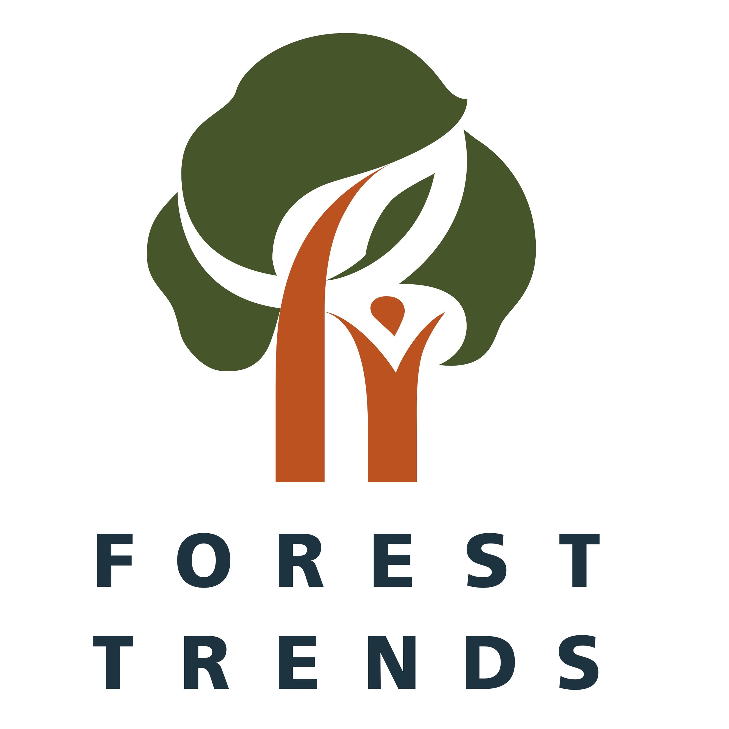 Forest Trends Pure Vectors (2) copy.jpg