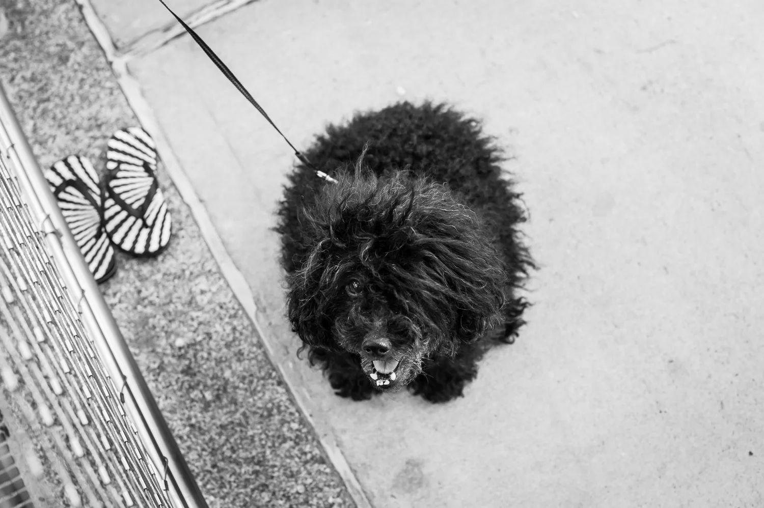 August 2014-3028.jpg