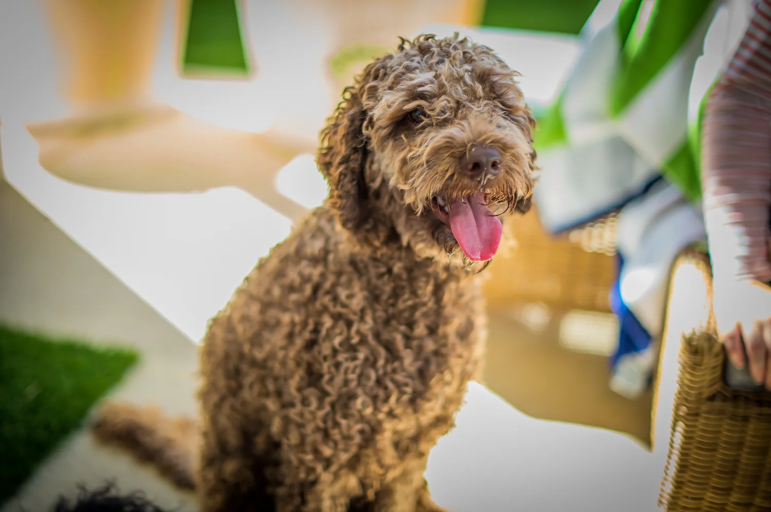 Nikon Df_2014_Feb-0092.jpg