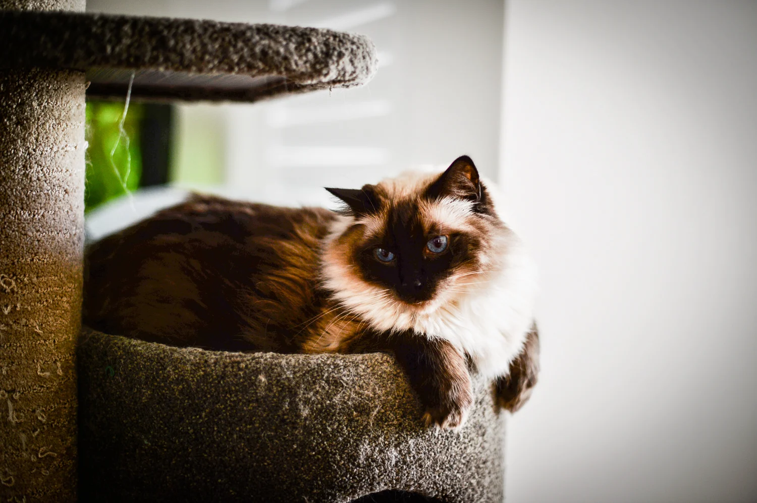 Nikon Df_2014_Feb-0155.jpg