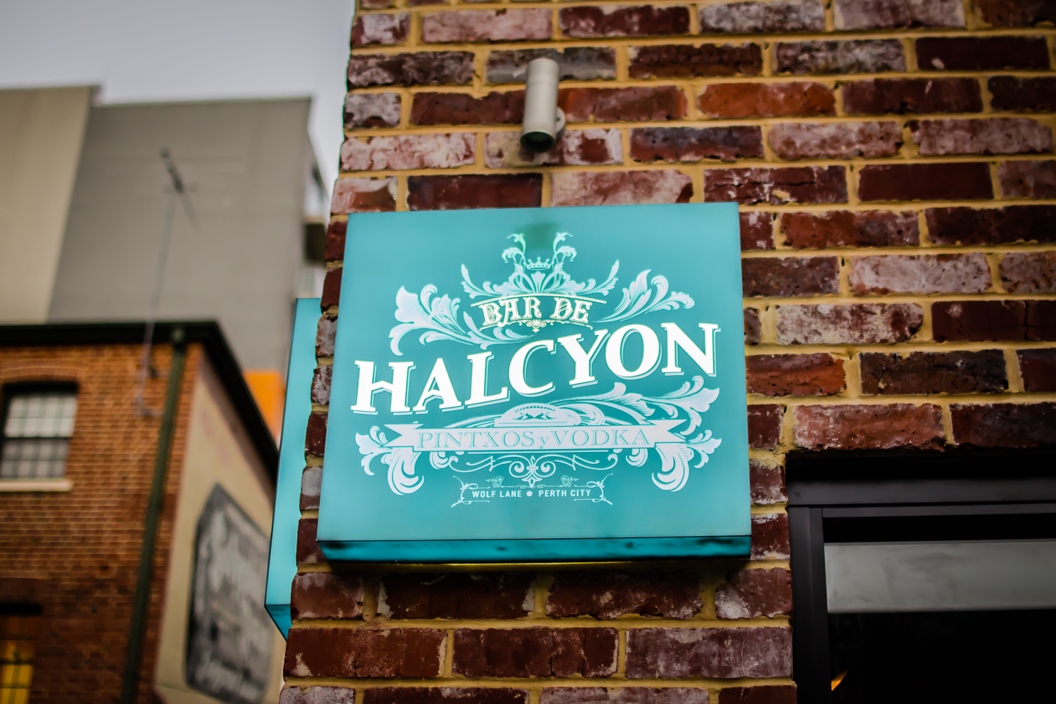 Halcyon_Friday_20131213-8616.jpg