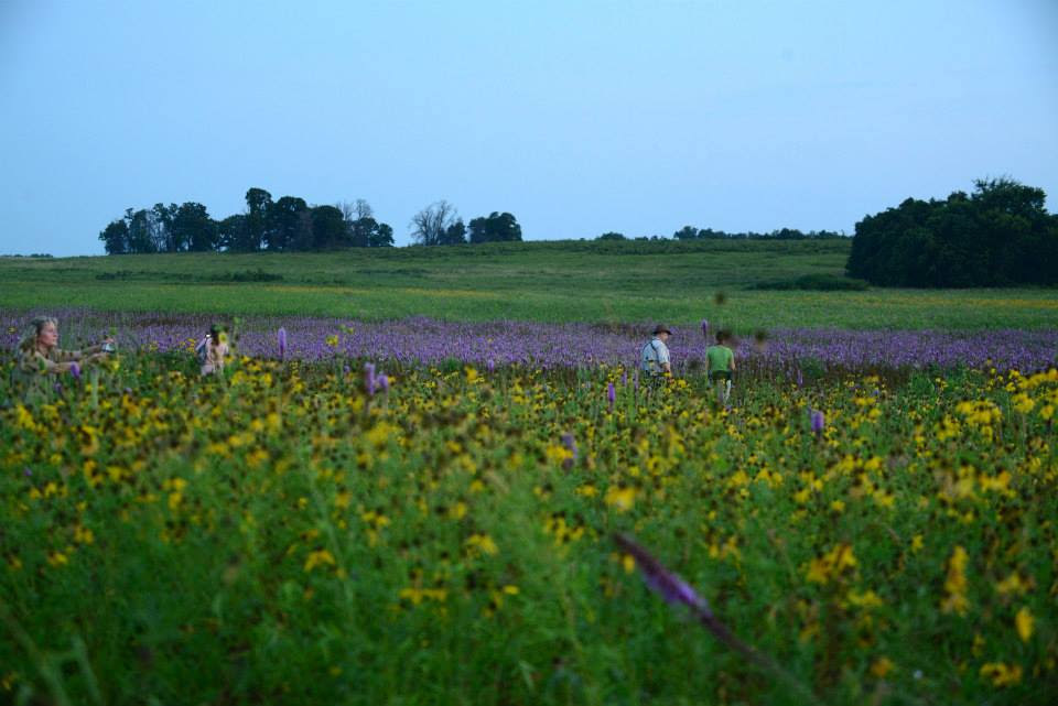 prairie-becky.jpg