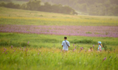 prairie-walk-becky.jpg