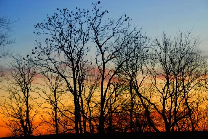 sunset katherine (Small).jpg
