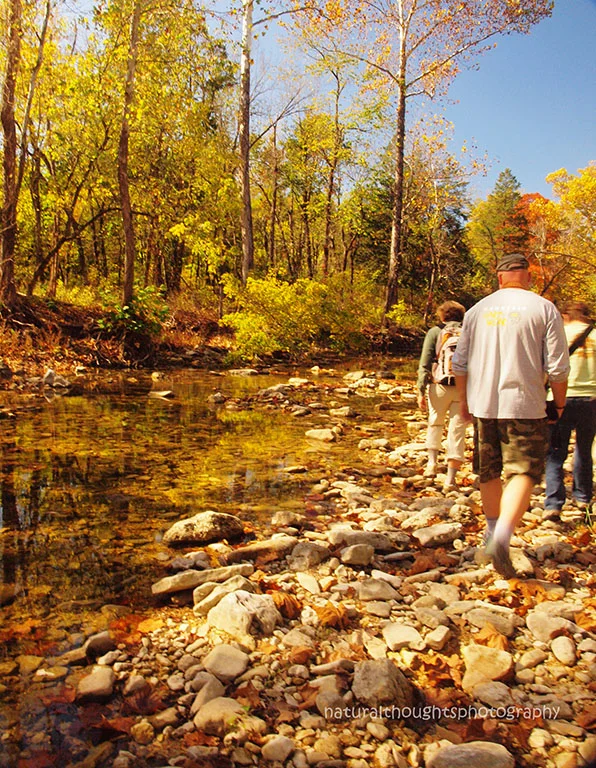 fall hiking along bee creek annb web.jpg