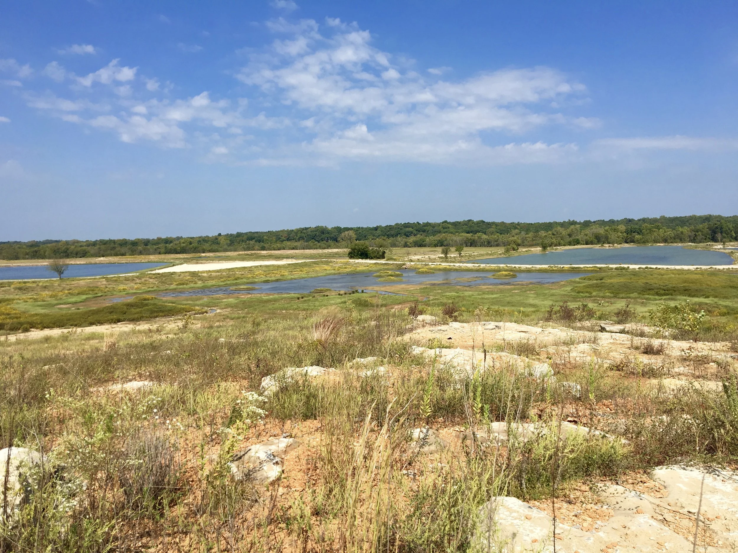 cardinal valley.jpeg