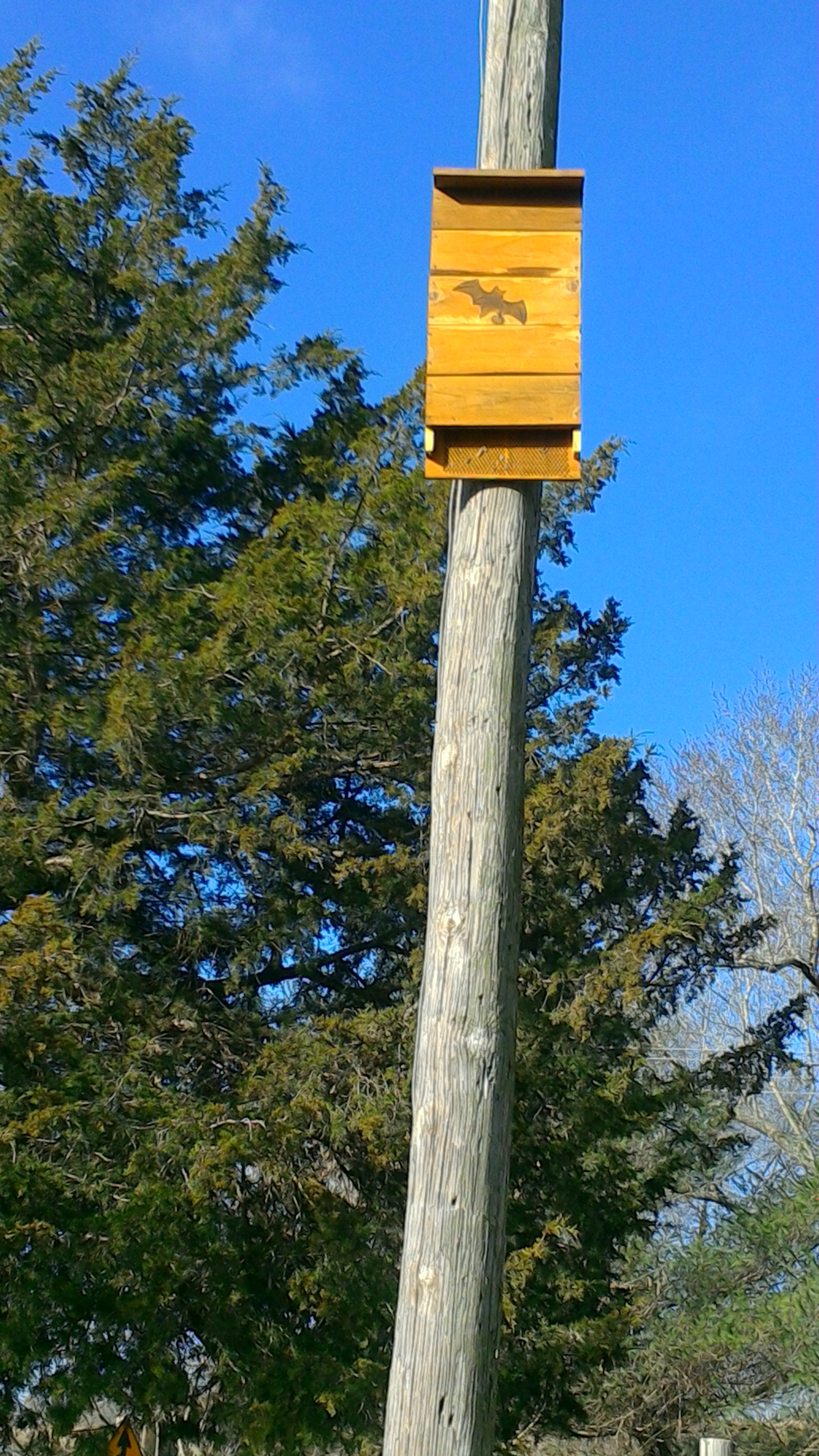 bat house on pole.jpg
