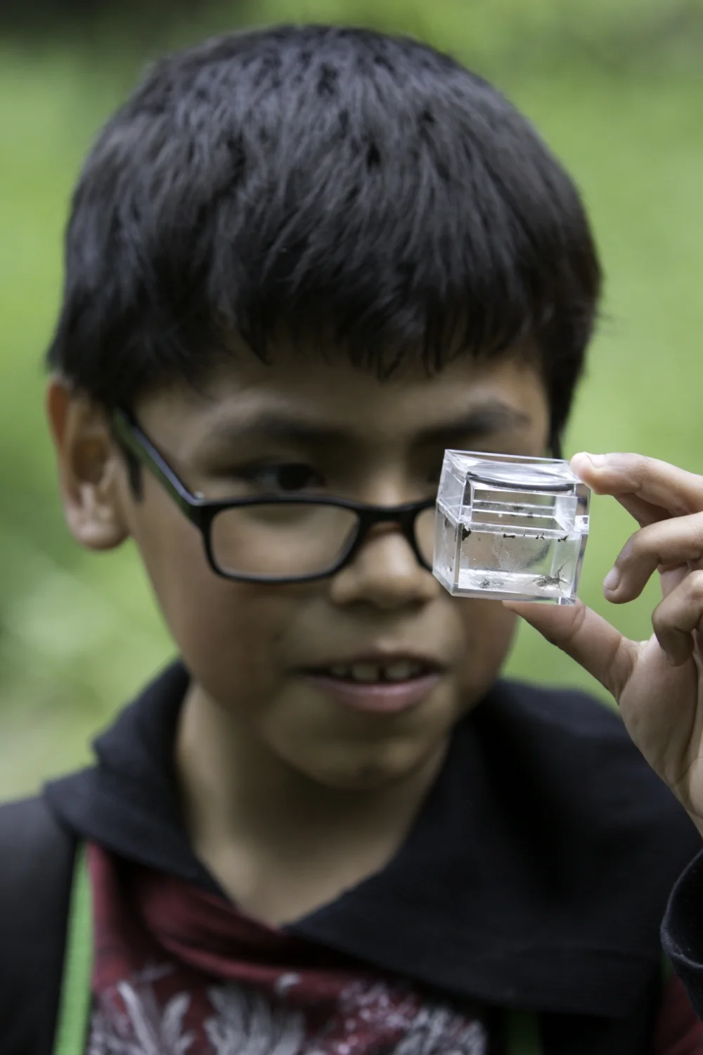 student with bug viewer.jpg