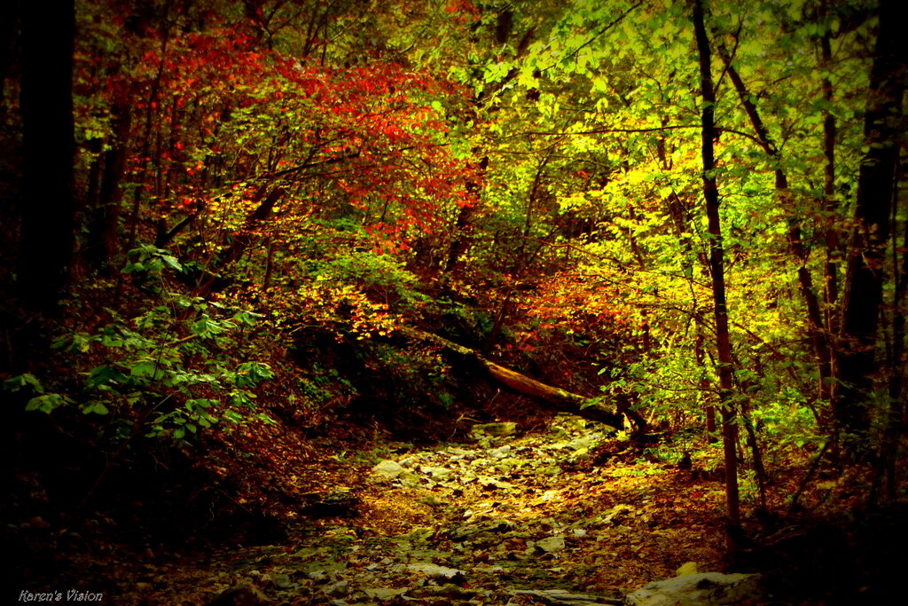 Big Sugar State Park 10-19-19.JPG