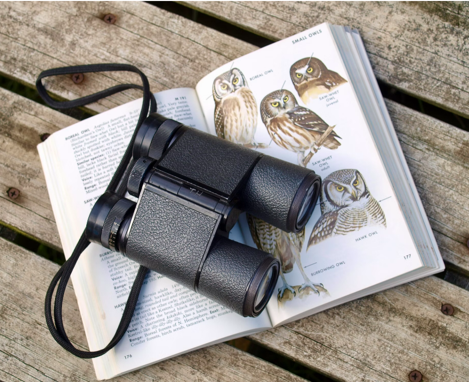 Nature Explorers: Birds-Eye View Binoculars &amp; Birding