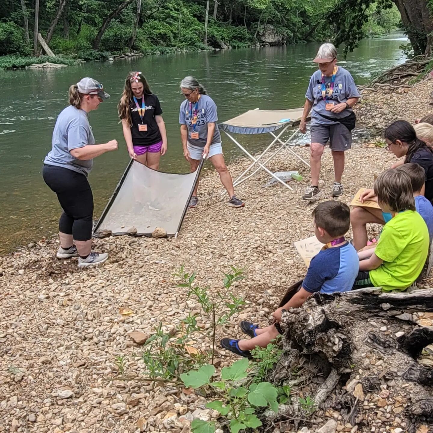 Master Naturalists are teaching kids at Camp Wildcat  Critters at the Creeek this afternoon.