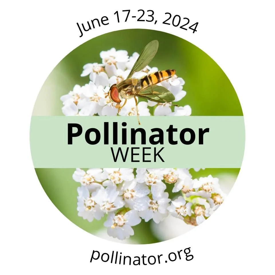 Pollinator Week