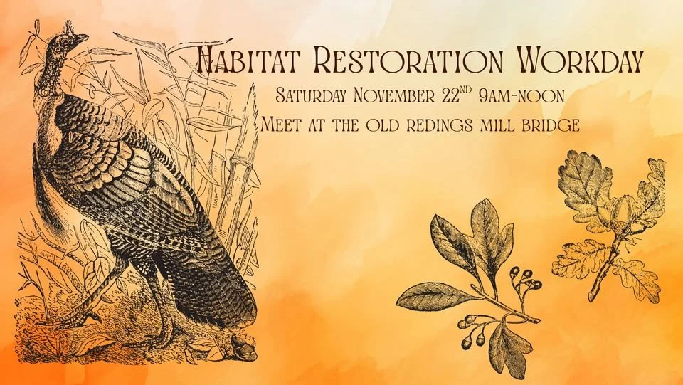 Habitat Restoration Work Day