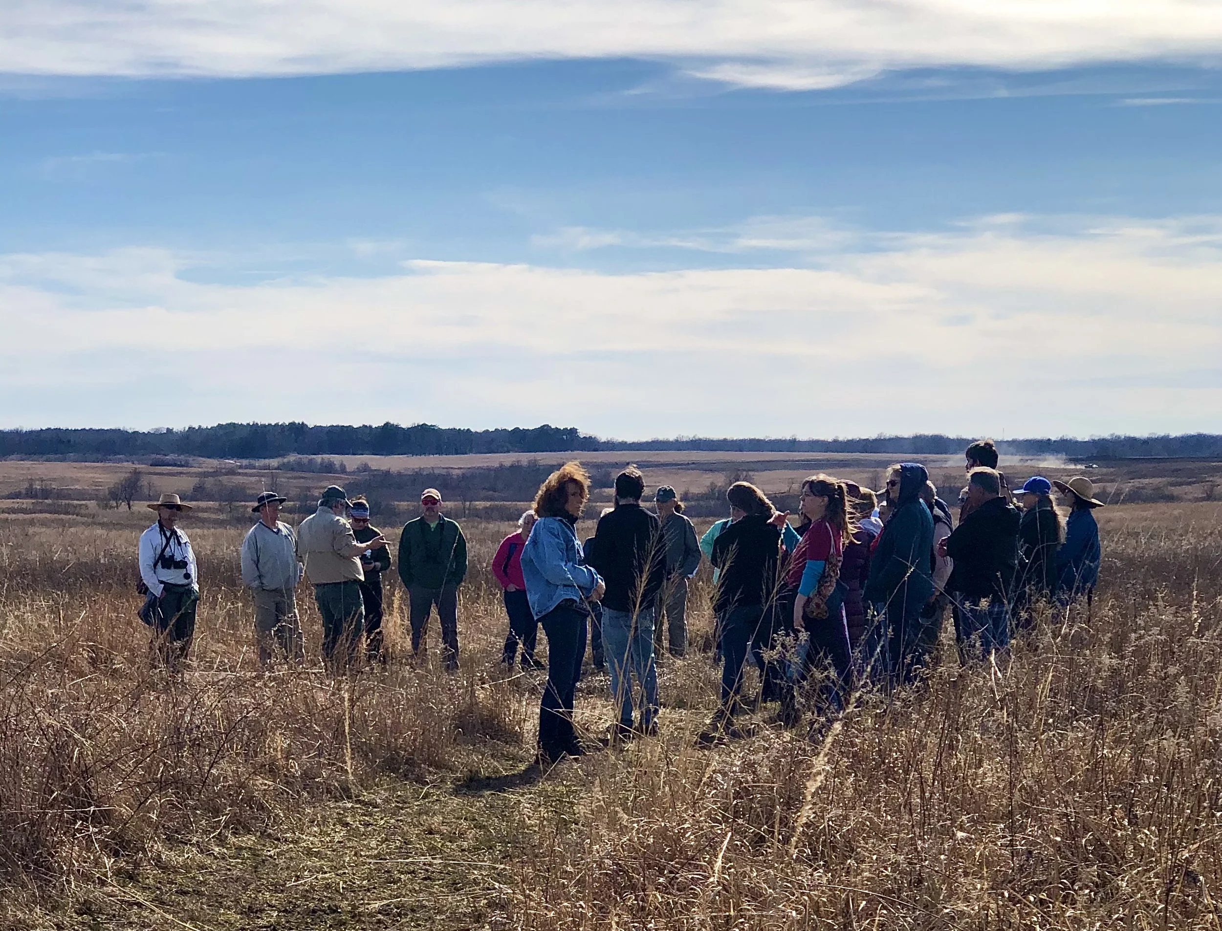 Guided Bison Saunter