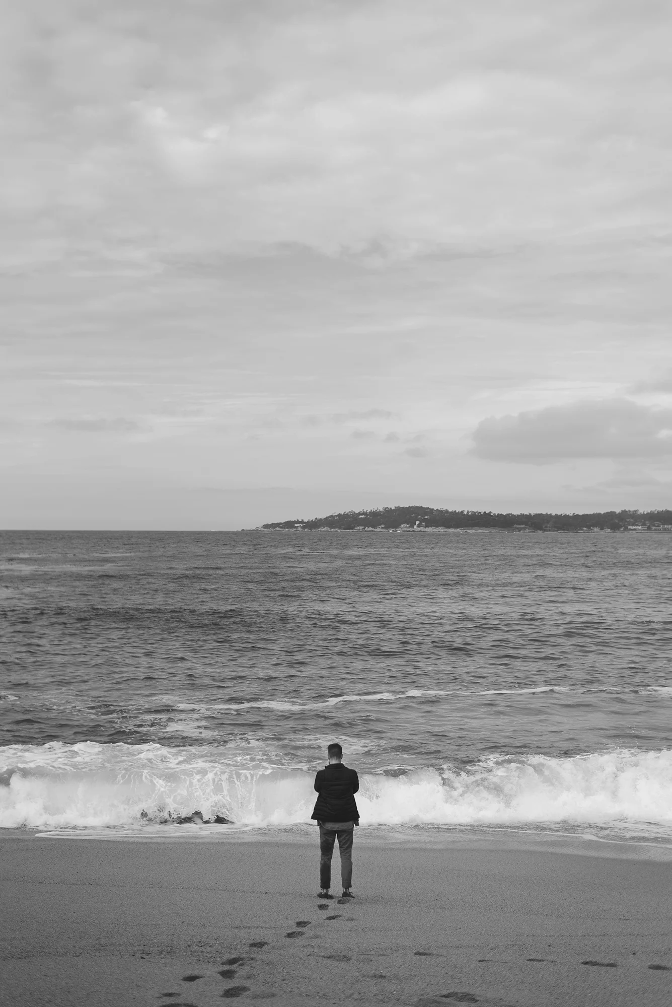 DSC_6573flatBwWeb.jpg