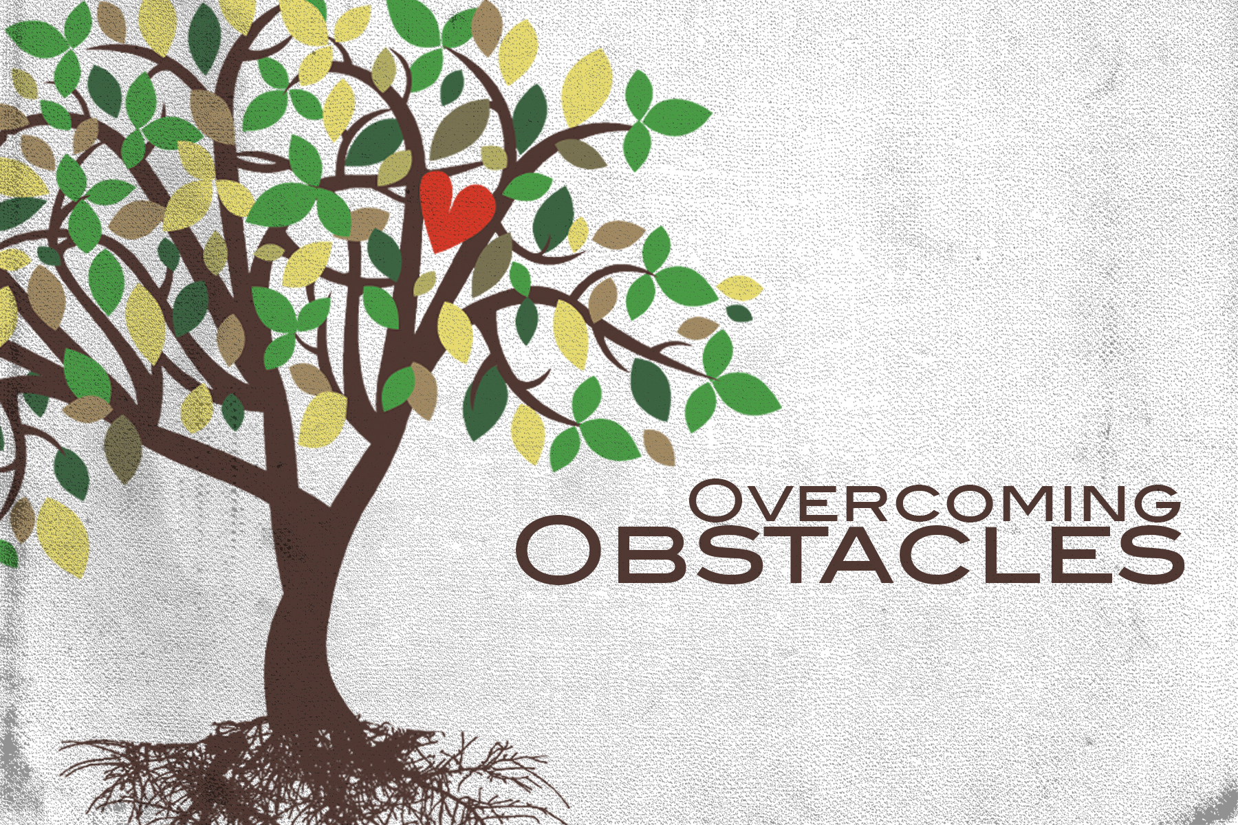 Visionary Life - Overcoming Obstacles
