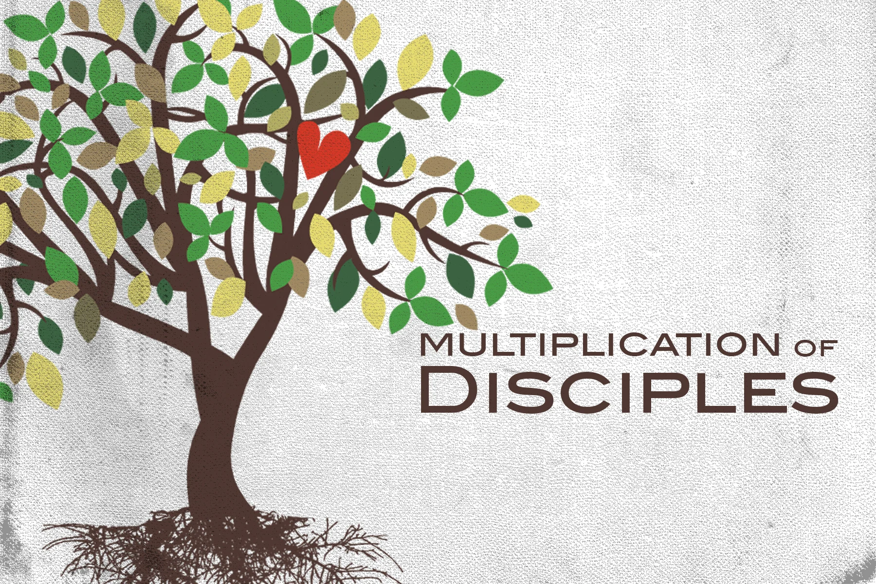 Multiplication of Disciples