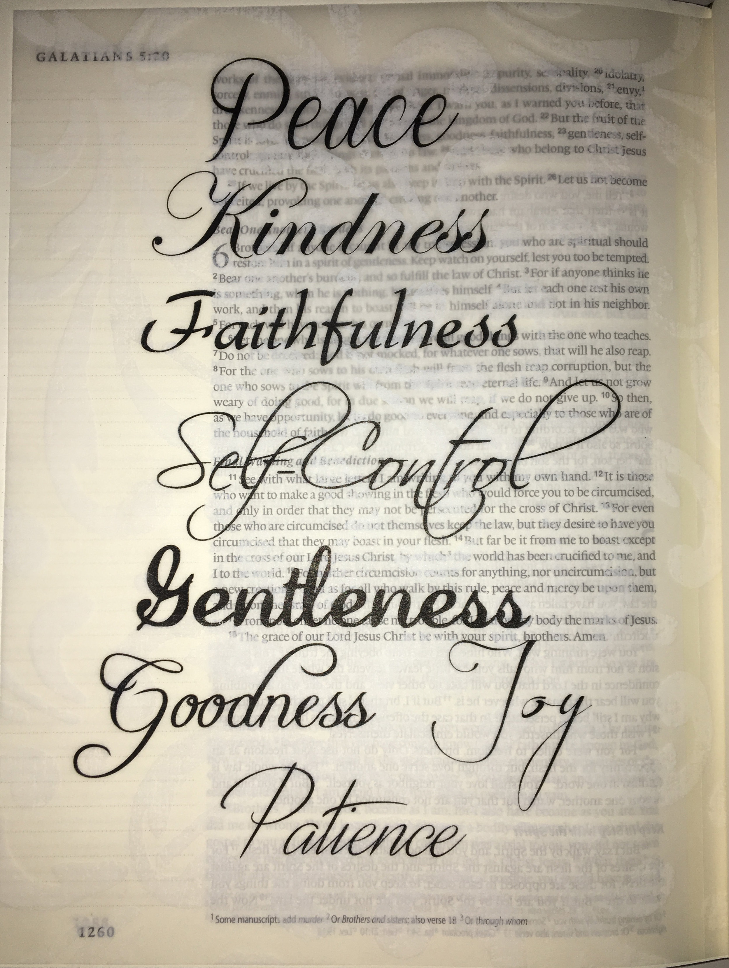 Vellum Printed by Computer Inserted in Bible