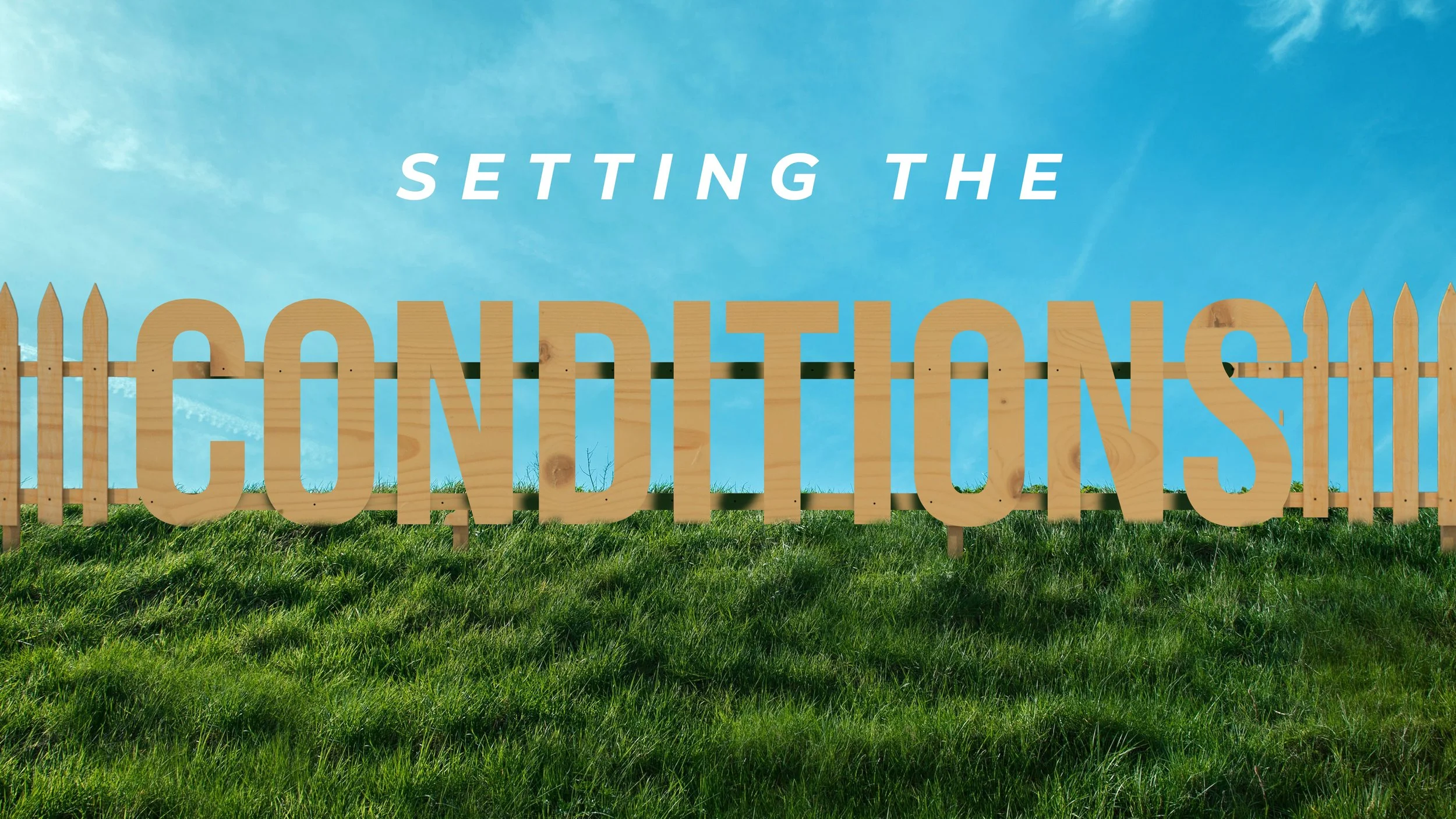 Setting the Conditions 