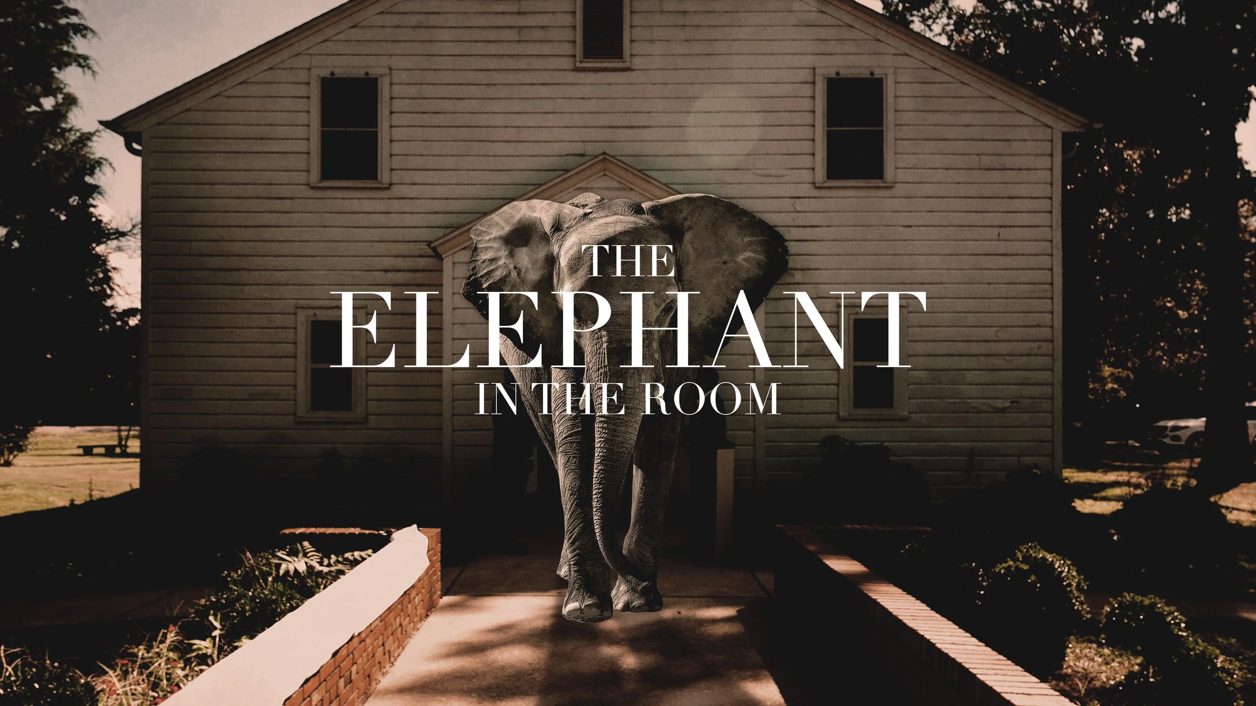 The Elephant in the Room