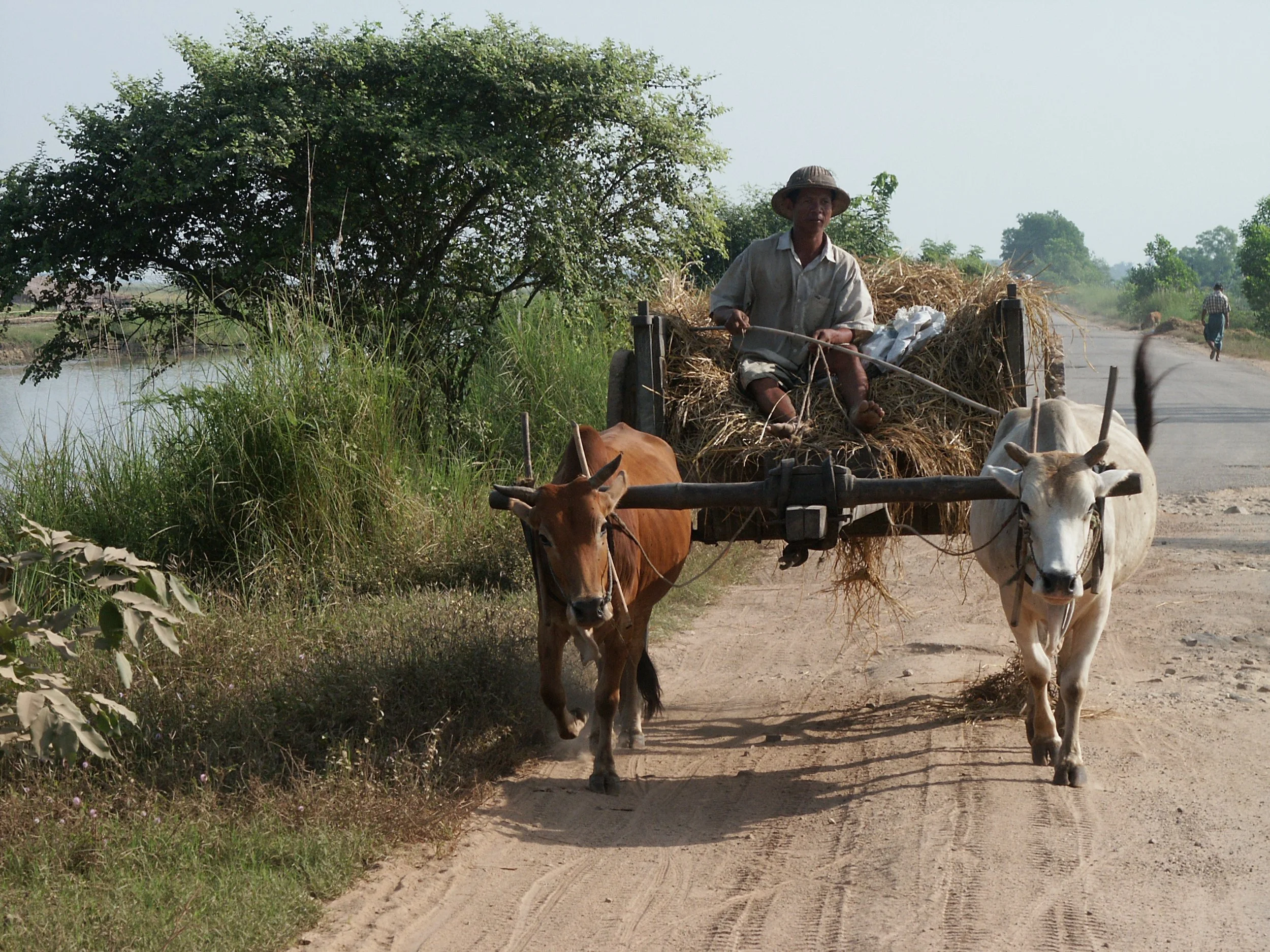 005 Rural Life-Myanmar.JPG