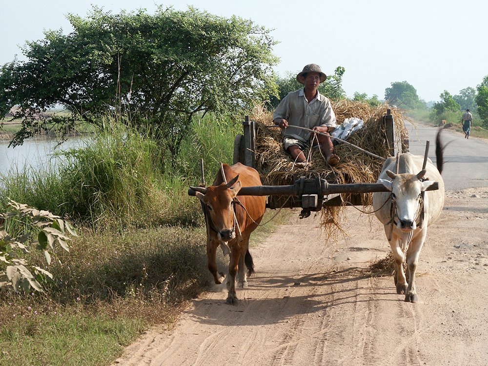 005-Rural Life-Myanmar.jpg
