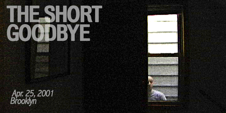 20_TheShortGoodbye.png