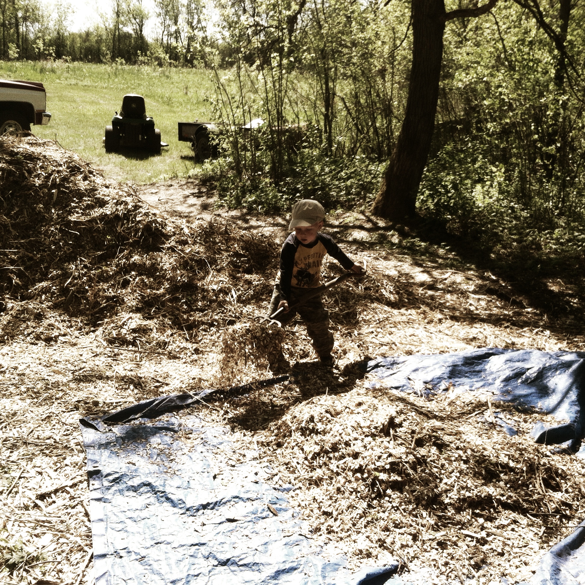 mulch