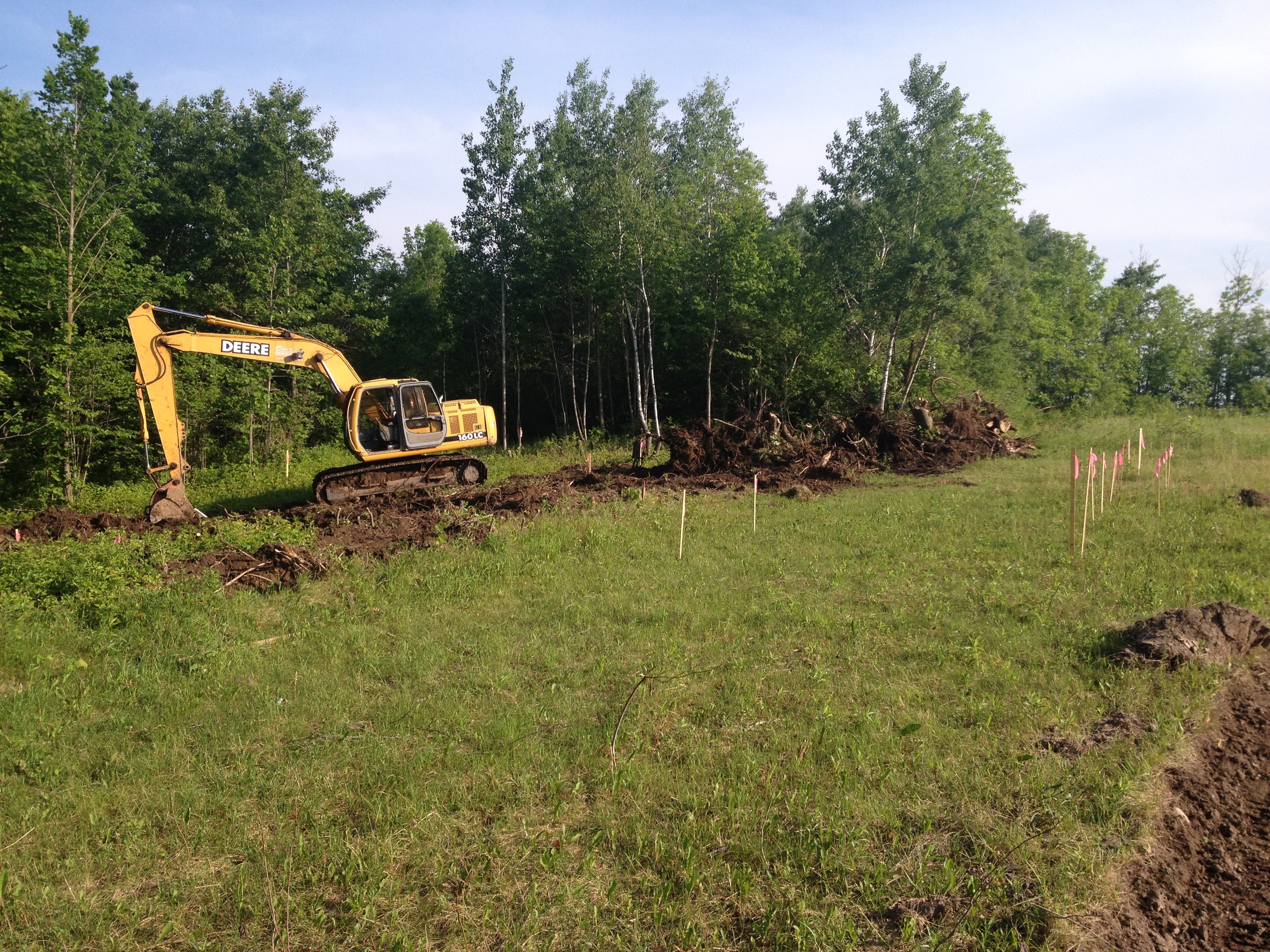 stumps