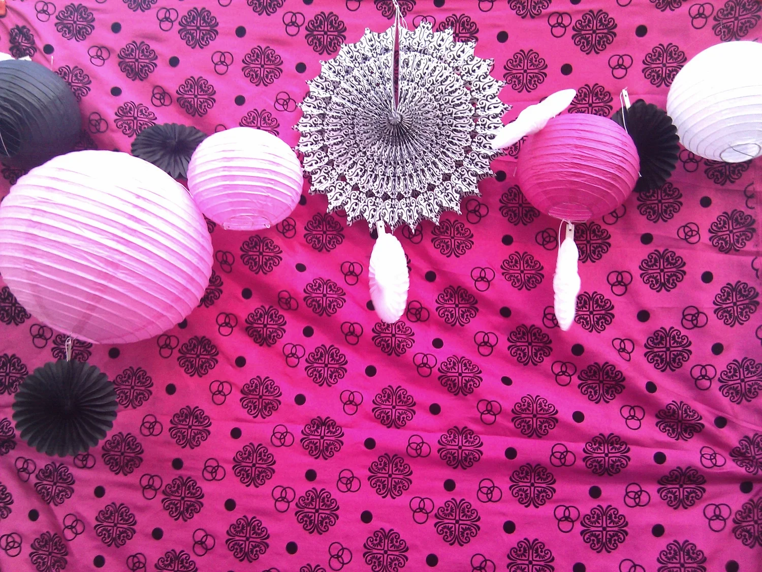 backdrop1.jpg