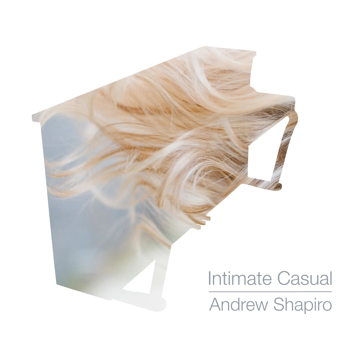 Shapiro_IC_cvr.jpg