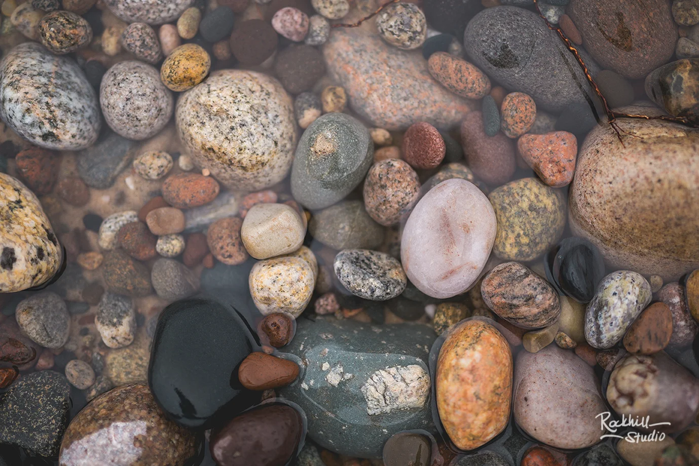 rockhill-studio-christmas-day-upper-peninsula-michigan-newberry-muskallonge-14.jpg