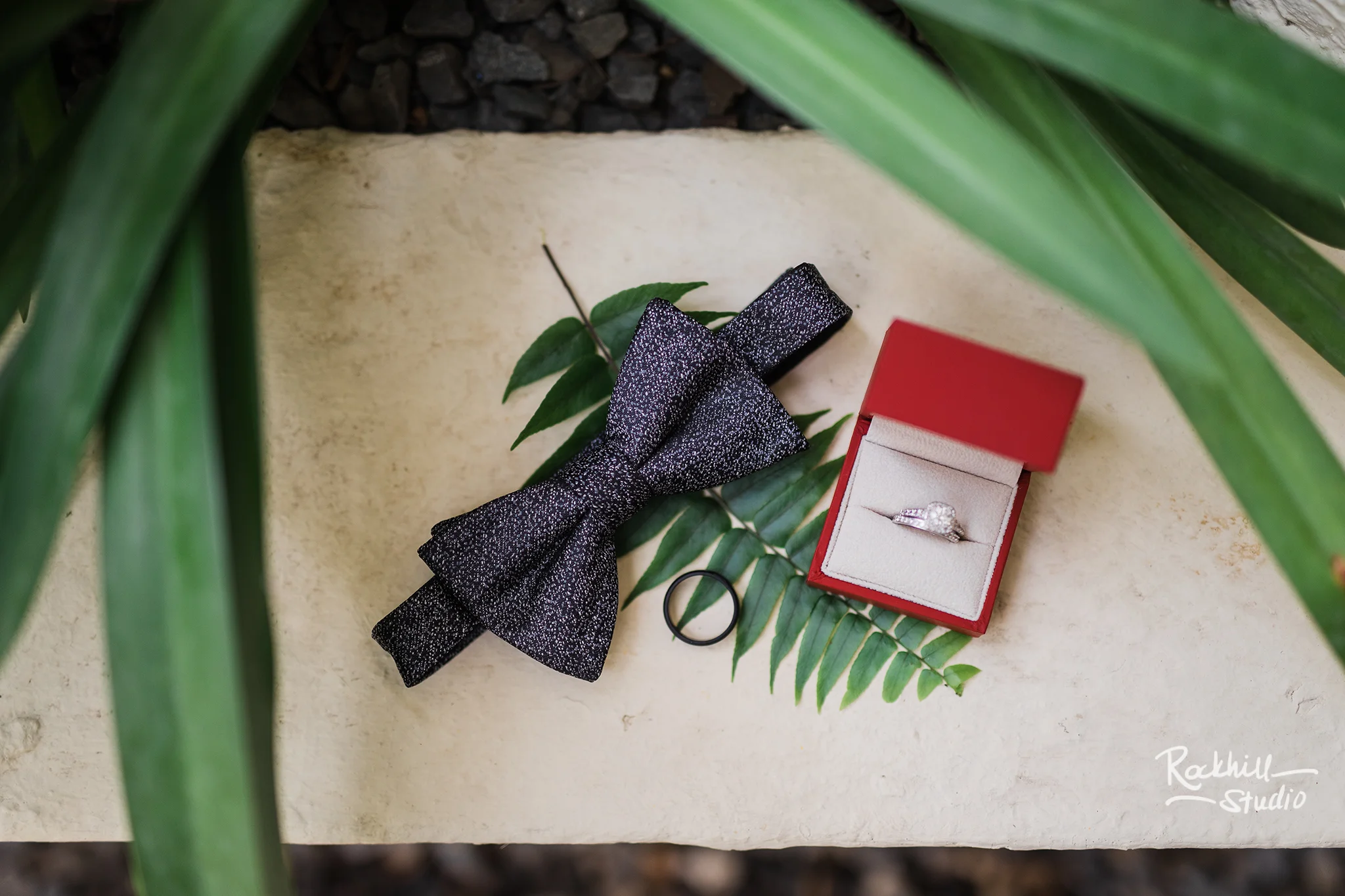 traverse_city_wedding_photographer_destination_Michigan_rockhill_tl2a.jpg